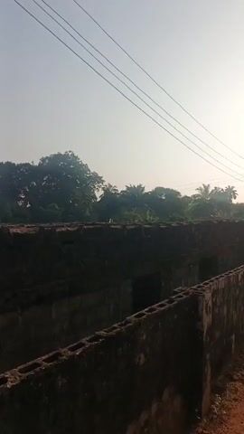 The video shows a low, dark, rough brick wall with small square openings, behind which are trees including palm trees. The sky is pale and hazy. Power lines run across the top of the frame. The camera moves slightly from side to side.