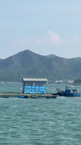 The video shows a wide shot of a body of water with a floating structure and a boat. The floating structure is a small building with a gray metal roof and blue siding. It appears to be a dwelling or a storage unit. A blue and white boat is docked next to the structure. The water is a vibrant turquoise color and appears to be calm, with gentle ripples. In the background, a range of green, tree-covered mountains rises under a clear blue sky with a few scattered clouds. The overall scene is peaceful and evokes a sense of rural or coastal living.