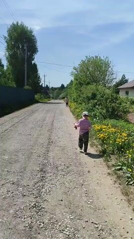 The video shows a young child in a pink striped shirt, dark pants, and a light-colored hat running along a gravel road. The child is running away from the camera towards another person walking further down the road. The road is lined with trees and bushes on both sides, and there are yellow dandelions growing along the side of the road. A fence is visible on the left side, and a house is on the right.  The sky is blue with some clouds, suggesting a sunny day. Overhead power lines are also visible.