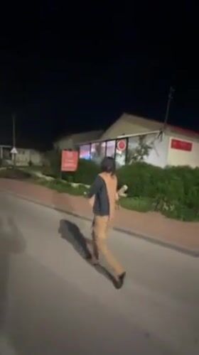 Nighttime pedestrian and dog walking activity recorded in Netanya