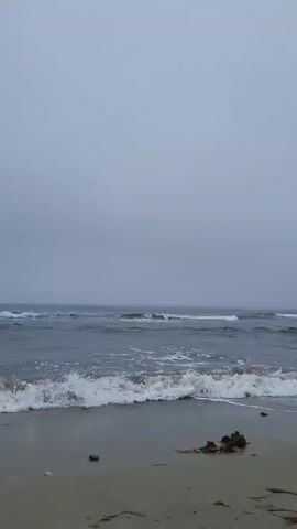 The video shows a gray, overcast day at a sandy beach. Waves are gently rolling onto the shore, leaving white foam on the wet sand. There is seaweed and some debris scattered on the beach. In the distance, the ocean stretches out to meet the sky, which is a solid, muted gray. The camera pans along the shoreline, revealing more of the beach and the ocean. There are no people visible in the video. The overall mood is somber and peaceful, evoking a sense of quiet solitude.
