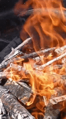 Summer backyard cookout with fire, grilling, and garden vibes in Viadana