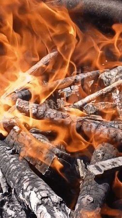 Summer backyard cookout with fire, grilling, and garden vibes in Viadana