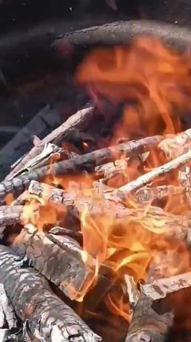 Summer backyard cookout with fire, grilling, and garden vibes in Viadana