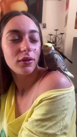 A young woman with long, dark hair and a small tattoo on her chest is featured in a close-up indoor shot. She is wearing a yellow off-the-shoulder top, with a red bra strap visible on her right shoulder. A cockatiel parrot, with a yellow head crest, grey body, white patches on its wings, and distinct red cheek patches, is perched calmly on her right shoulder.

The woman smiles warmly throughout the video, her eyes closing briefly at the beginning before she opens them, looking content. The parrot occasionally shifts its gaze, appearing comfortable in its spot. The background is somewhat blurred but shows what appear to be drawings or posters on a wall and a decorative candelabra-like object, suggesting a casual, lived-in environment. The lighting indicates it's likely daytime. No specific location cues for Mitzpe Ramon, Israel are visible in the video itself.