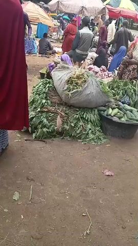 The video shows an outdoor market scene. In the foreground, large piles of leafy green vegetables and a black tub filled with cucumbers are visible. A large burlap sack filled with dried vegetation sits on top of the green vegetables. Behind these produce items, various people are browsing and interacting. Some individuals are seated, while others are standing and examining goods. Several colorful umbrellas provide shade over market stalls. In the middle ground, two men are talking, one wearing a red beanie and the other a striped shirt and patterned headwrap. The ground is dirt and appears somewhat uneven. In the background, more people and stalls are discernible, suggesting a busy marketplace. The overall environment suggests a typical open-air market, possibly in a tropical or subtropical region.