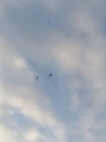 The media file shows a cloudy sky with several dark specks scattered throughout. These specks appear to be insects, possibly flying in a swarm or individually. The sky is a pale blue, with soft white clouds that suggest it is daytime. The lighting is diffused, which could indicate an overcast or early morning/late afternoon time. There is no visible text in the media file. The setting appears to be outdoors, in a location with open sky. The overall mood is neutral, focusing on the natural phenomenon of insects in flight against the sky.