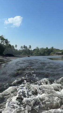 A video displays a wide shot of a flowing body of dark water, possibly a river or a lagoon, under a clear blue sky. The water in the foreground is agitated, with white foam and small waves moving towards the camera. Dark sand or earth forms a bank on the left, leading to a dense line of green trees and palm trees that stretch along the shoreline into the background. Similar lush vegetation lines the far bank on the right. A prominent white cloud, somewhat heart-shaped, is visible in the upper left portion of the blue sky. No people or discernible man-made structures are visible.