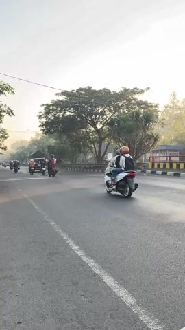 The video shows a road with several motorcycles riding in the same direction. The motorcycles are in the middle of the road, with one in the foreground and several more further back. The road is paved and has a white line down the center. There are trees and foliage on either side of the road, and a clear sky with a pale sun. The overall impression is of a peaceful morning commute.