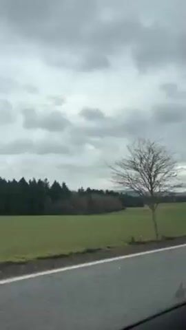 The video depicts a landscape viewed from a moving vehicle. The sky is overcast with gray clouds. The landscape includes a large green field that extends towards a distant treeline. A paved road runs alongside the field. The roadside is marked with posts. Several bare trees are visible along the roadside.