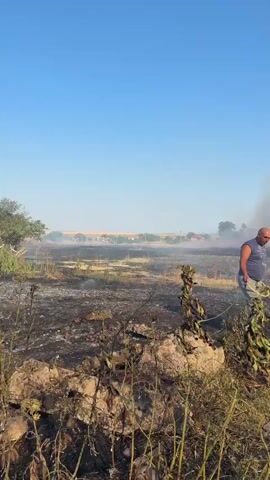 The video shows a field on fire with smoke billowing into the clear blue sky. In the foreground, a man is holding a yellow hose and appears to be directing it towards the fire. Further in the distance, there are fire trucks and other people observing the situation. In one scene, a group of people are gathered in a grassy area, looking towards the smoke. Another scene shows a young boy standing with a bicycle in front of a house, with smoke visible in the background. The environment appears to be rural or semi-rural, with houses and trees visible. The sun is shining brightly, and the sky is clear except for the smoke from the fire.