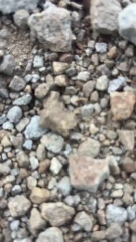 The video shows a close-up of rocks and pebbles, then transitions to a field with sparse, small purple flowers and dry grass. A wind turbine stands in the background, situated in a field of dry crops. The sky is cloudy with some patches of blue. The camera slowly zooms out, focusing on the wind turbine against the backdrop of the expansive cloudy sky.