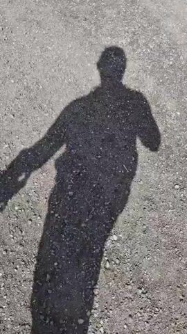 The video begins with a shadow of a person walking on a gravel path. The person's shadow is cast to the left, and the person appears to be wearing a hat or has their head down. The environment is a gravel path with sparse vegetation on the right. As the video progresses, the view shifts to a wider shot of the path, with a tall green cornfield lining the right side. A black dog is seen running alongside the path on the right, in the grassy area next to the cornfield. The sky above is cloudy. The video continues to show the dog running ahead on the path, with the cornfield remaining on the right. The person's shadow is no longer visible in the frame. The path continues straight ahead, and the cornfield extends into the distance.