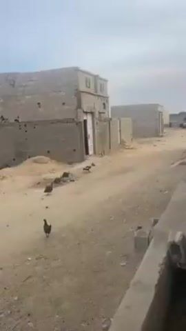 The video shows a dirt street lined with unfinished brick buildings under a cloudy sky. Several chickens peck and wander in the dirt street.