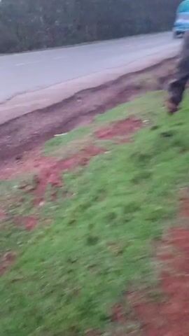 The video shows a person walking on a dirt path next to a road. The person is wearing a dark jacket, blue jeans, and a hat. The road has a few vehicles driving on it, including a blue truck with a green tarp covering its cargo. The path is bordered by green grass on one side and a small cliff leading down to the road on the other. There are trees in the background. The sky is overcast, and the light is dim.