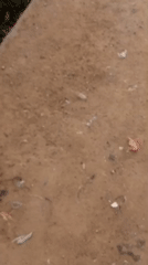 Village Life: Soccer, Dancing, Daily Activities on Dirt Roads