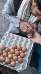 Egg vendors conduct business at outdoor market in Yaro