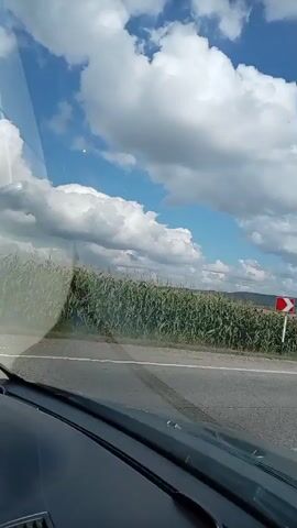 The video shows a view from inside a car as it drives along a road bordered by a cornfield. The sky is blue with white, fluffy clouds. A road sign indicating a sharp curve to the right is visible on the side of the road. The car appears to be moving at a moderate speed.