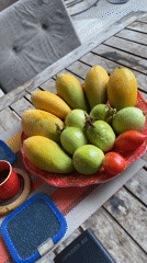 Fresh tropical fruit display captured at Phan Thiet picnic table
