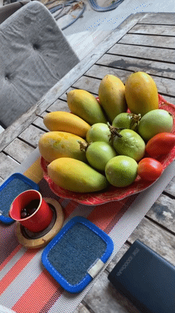 Fresh tropical fruit display captured at Phan Thiet picnic table