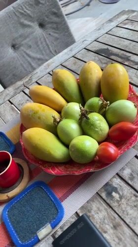 Fresh tropical fruit display captured at Phan Thiet picnic table