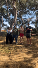 Young adults gather for informal outdoor activities in Italian pine grove