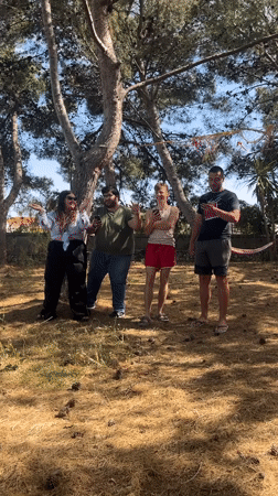 Young adults gather for informal outdoor activities in Italian pine grove