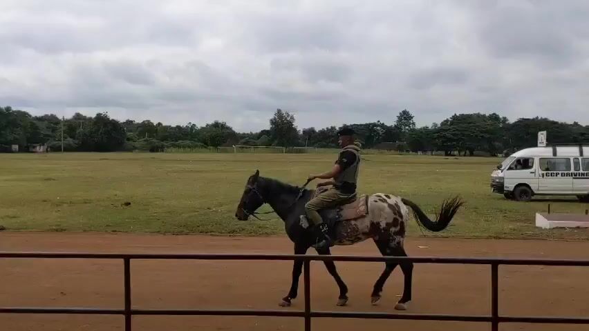 Here is a concise description of the video:

The video features a person riding a horse. The rider is wearing a dark t-shirt, light-colored pants, a tactical vest, and a black hat. The horse is mostly black with white and brown spots on its hindquarters. They are on a dirt track adjacent to a grassy field with some trees in the background. There's a metal railing between the camera and the horse, and a white van is visible parked in the background. The sky is overcast.