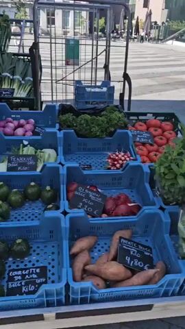 The video shows a market stall selling a variety of fresh produce. In the foreground, there are blue crates filled with different vegetables, including round green zucchini, smaller round green zucchini, and cucumbers. Further back, there are more crates with vegetables such as red onions, fennel, and what appear to be leeks. In the middle ground, there are green crates overflowing with peas and tomatoes. In the background, more produce is visible, including carrots, lettuce, and possibly potatoes. A person is seen tending to the stall in the distance. The market appears to be outdoors, with a sidewalk visible in the foreground and buildings in the background.