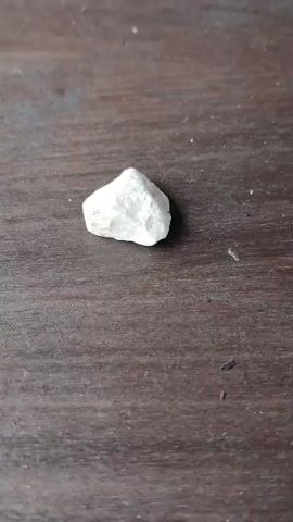 A person's fingers are picking up a white rock from a wooden surface. The surface is dark and appears to be a table. There is a small insect on the surface near where the rock is being picked up. The lighting is bright.