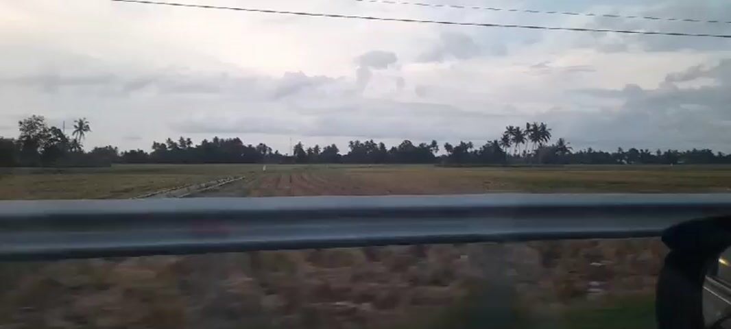 The video shows a landscape from a moving vehicle. A field with trees, including palm trees, is visible. The sky is cloudy. A guardrail is in the foreground. Music is playing.
