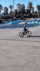 Ordinary afternoon activities documented across Batumi, Georgia parks and streets