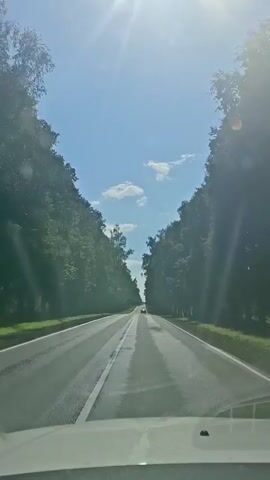 The video shows a view from inside a vehicle driving down a paved road. The road is lined with tall trees on both sides, forming a tunnel-like effect. The sky is blue with some white clouds and the sun is shining brightly, casting rays of light onto the scene. There is a white line marking the center of the road. In the distance, another vehicle can be seen driving in the same direction. The overall impression is that of a scenic drive on a sunny day.