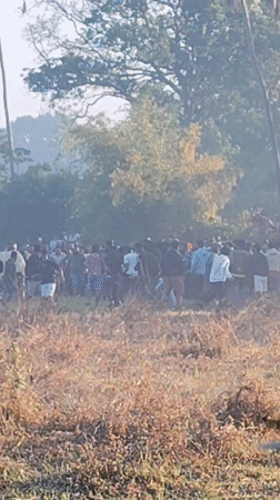 Crowd gathers in field during early morning hours in Querim