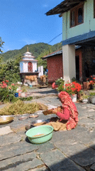 Woman sifts grain in courtyard, Haini village, India