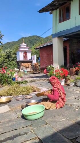 Woman sifts grain in courtyard, Haini village, India