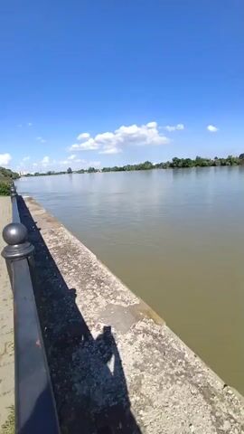 A person walks along a paved pathway next to a body of water on a sunny day. The water is murky brown, and the pathway has a black metal railing separating it from a concrete barrier along the water's edge. The sky is clear blue with a few scattered white clouds. Trees and buildings are visible on the opposite bank of the water. The camera moves forward, showing the pathway and the water, and the person's shadow is visible on the concrete barrier.