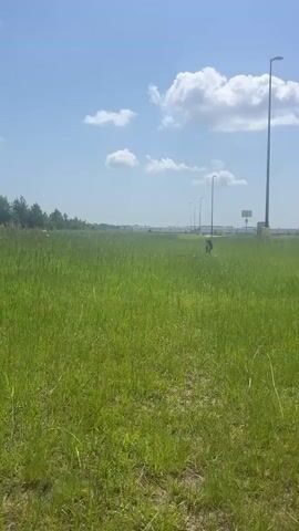 A wide shot captures a vast field of tall green grass under a bright blue sky dotted with fluffy white clouds. In the distance, a person can be seen walking through the grass towards a row of streetlights and a long, white building that appears to be a warehouse or distribution center. The scene is serene and pastoral, with a sense of open space and natural beauty. The person in the distance is small in the frame, emphasizing the vastness of the landscape. The overall impression is one of tranquility and freedom.