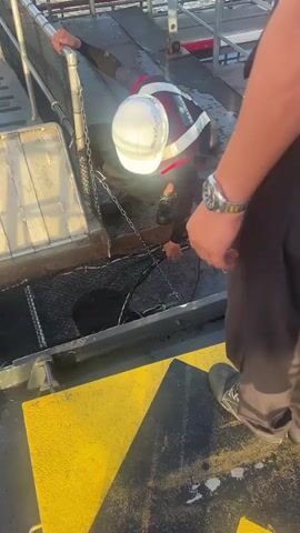 A man wearing a white hard hat and a reflective vest is kneeling, operating a chain connected to a net. Another man stands to his right, partially visible. They are on a platform with yellow and black markings. A metal ramp is positioned above a dark, netted area. The scene appears to be outdoors, possibly near water.