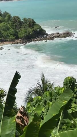 A high-angle, vertical video captures a scenic ocean view with lush greenery in the foreground. The ocean is a vibrant turquoise, with white waves crashing onto a rocky shore and a sandy beach. A small island covered in trees juts out into the water on the left side of the frame. In the distance, a coastline is visible with buildings nestled into a hillside. The foreground is dominated by large, bright green leaves, likely from banana plants, and palm fronds. The sun is shining, creating bright highlights on the water and foliage. The video appears to be a short clip, possibly a panning shot or a still frame from a longer recording. There are no people or specific actions visible in the scene.