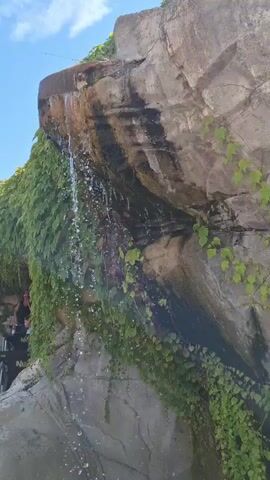 A man stands to the left of a rock face with a waterfall. The rock face is covered in ivy. The waterfall is cascading down the rock face. The sky is blue.