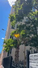 Ordinary morning moments captured across Cannes streets and cafes