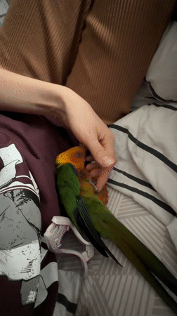 Morning domestic moments captured in Khimki household