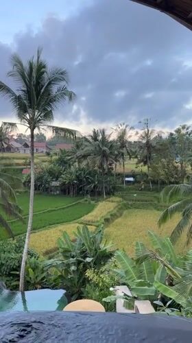 Luxury resort pool documented amid Tegallalang rice terraces