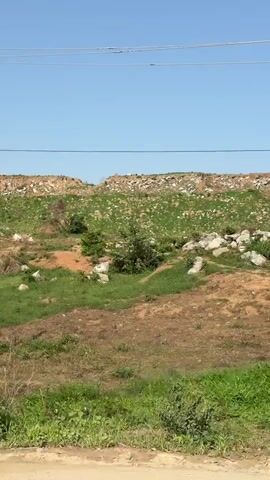 The camera is moving, showing a landscape with a large pile of garbage in the background, overgrown with green vegetation. The foreground is dominated by dirt, rocks, and green foliage, and a dirt road is visible at the bottom of the frame. Overhead powerlines cross the clear blue sky. The scene conveys a rural or semi-rural environment.