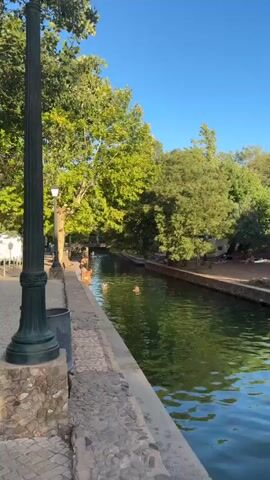 The video opens with a view of a canal with lush green trees lining its banks. A cobblestone walkway runs along the left side of the canal, separated by a stone wall. A lamppost stands prominently on the walkway. Several people are visible in the water, swimming and enjoying the canal. On the walkway, a person dressed in black shorts and a black top is standing near the edge, looking towards the water. Further down the walkway, another person wearing a white top and shorts is sitting on the edge. The water in the canal appears clear and reflects the surrounding greenery. The sky is a clear blue, suggesting a sunny day. The overall scene depicts a peaceful and recreational atmosphere in a natural setting with urban elements.