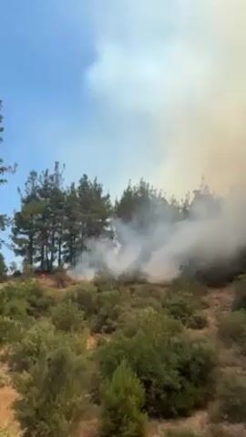The video shows a forest fire on a hillside. Trees and bushes are burning and emitting smoke. A lot of gray smoke fills the air, obscuring the sky. In the foreground, there is a tall, red metal pole with a white object attached to it. The camera shakes slightly, indicating it may be handheld.