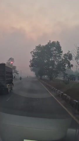 The video shows a misty road with a truck in the foreground. There is a large tree on the right side of the road and some power lines in the distance. The sky is hazy and a reddish sun is visible. The camera appears to be mounted inside a vehicle, looking out through the windshield. The truck is moving away from the camera.