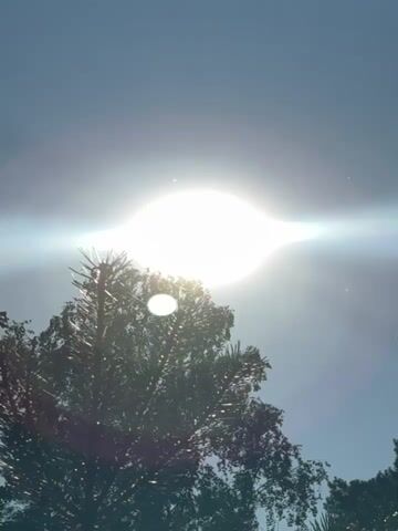 The video shows a close-up shot of the sun partially obscured by the branches of a tree. The sun is very bright, creating a lens flare effect that extends horizontally across the frame. The sky is clear and blue. The tree appears to be evergreen, with dark green needles. The image is slightly blurry, suggesting it was taken with a handheld camera. The timestamps indicate the video is only a few seconds long, capturing a brief moment of sunlight through foliage. There are no people or other objects visible in the frame.