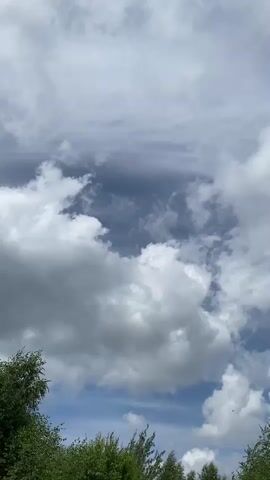 The video shows a time-lapse of the sky with white and gray clouds moving across a blue sky. There are green trees visible at the bottom of the frame. A small dark object, possibly a bird, flies across the sky in the middle of the frame at the 00:00 mark and again at the 00:01 mark. The clouds appear to be shifting and changing shape throughout the short video.